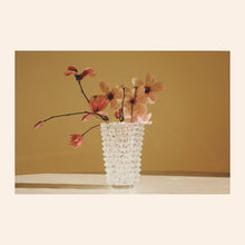 Load image into Gallery viewer, NOTEVOLE VASE IN CLEAR