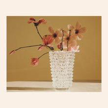 Load image into Gallery viewer, NOTEVOLE VASE IN CLEAR
