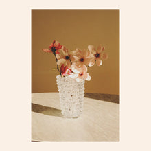 Load image into Gallery viewer, NOTEVOLE VASE IN CLEAR
