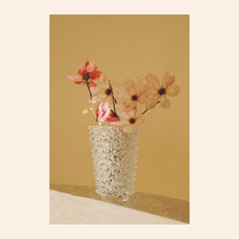 Load image into Gallery viewer, NOTEVOLE VASE IN CLEAR
