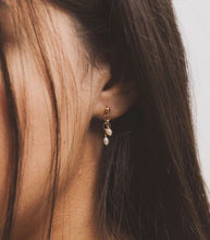 Load image into Gallery viewer, PETA FRESHWATER EARRINGS
