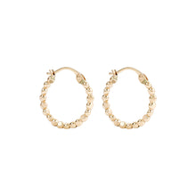 Load image into Gallery viewer, PHILINE HOOP EARRINGS
